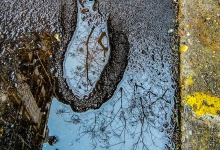 Puddles-01 Puddles-01